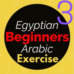 Beginner 3 Exercise