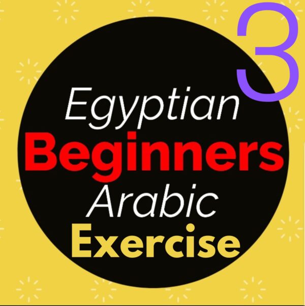 Beginner 3 Exercise